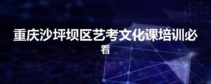 重庆沙坪坝区艺考文化课培训必看