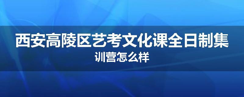 西安高陵区艺考文化课全日制集训营怎么样