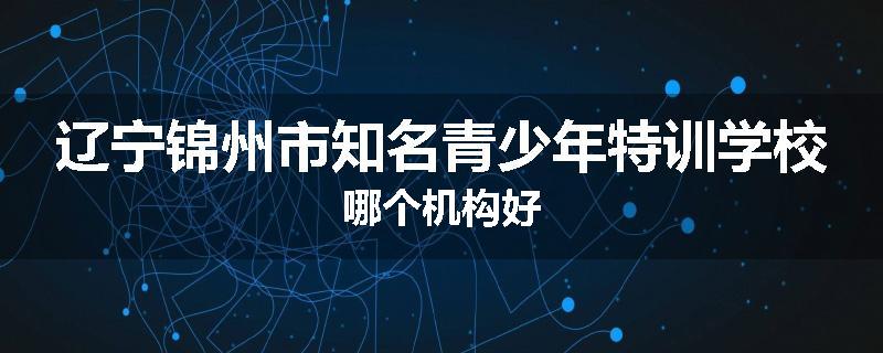 辽宁锦州市知名青少年特训学校哪个机构好