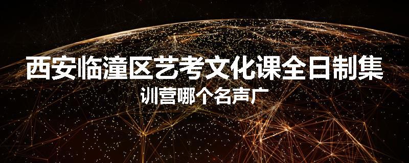 西安临潼区艺考文化课全日制集训营哪个名声广