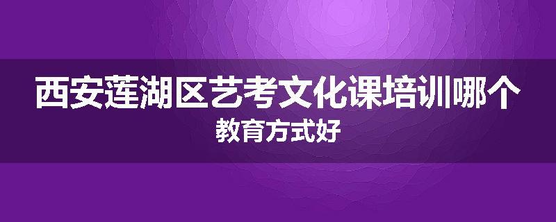 西安莲湖区艺考文化课培训哪个教育方式好