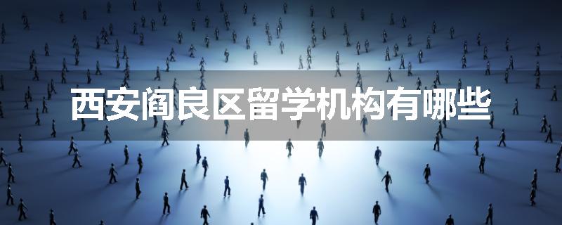 西安阎良区留学机构有哪些