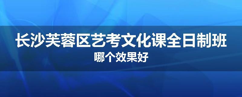 长沙芙蓉区艺考文化课全日制班哪个效果好