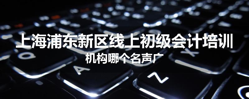 上海浦东新区线上初级会计培训机构哪个名声广