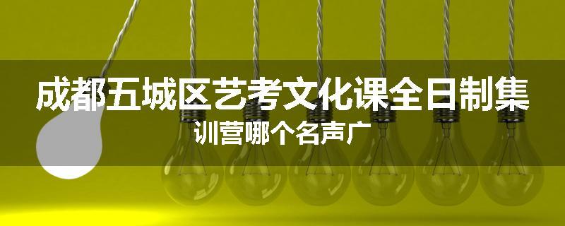 成都五城区艺考文化课全日制集训营哪个名声广