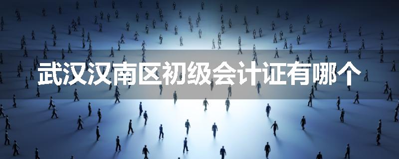 武汉汉南区初级会计证有哪个