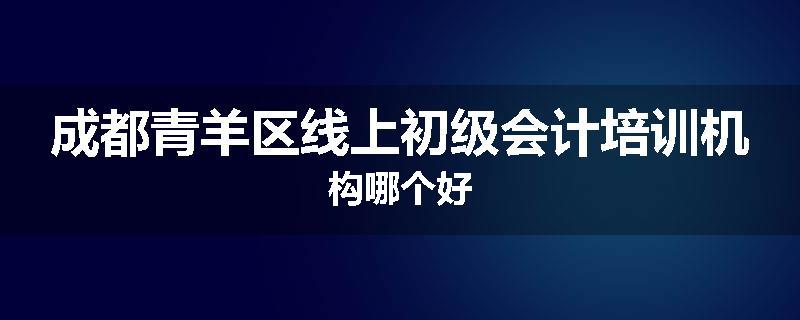 成都青羊区线上初级会计培训机构哪个好