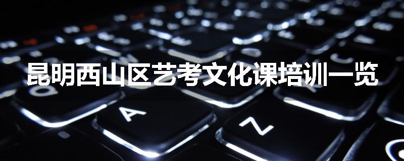 昆明西山区艺考文化课培训一览