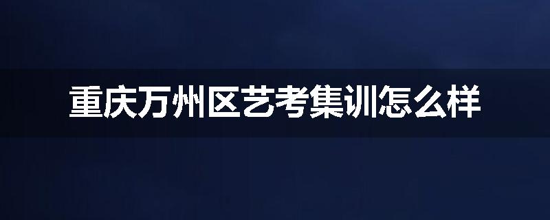 重庆万州区艺考集训怎么样