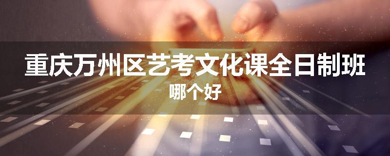 重庆万州区艺考文化课全日制班哪个好
