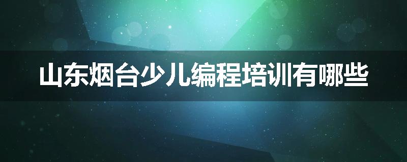 山东烟台少儿编程培训有哪些