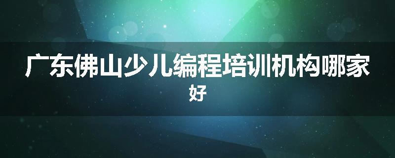 广东佛山少儿编程培训机构哪家好