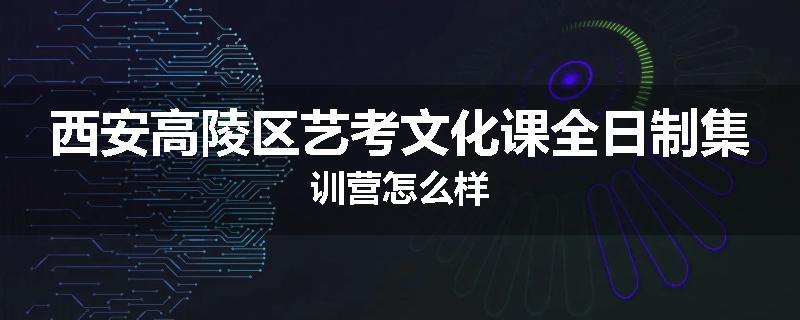 西安高陵区艺考文化课全日制集训营怎么样
