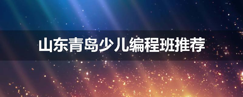 山东青岛少儿编程班推荐