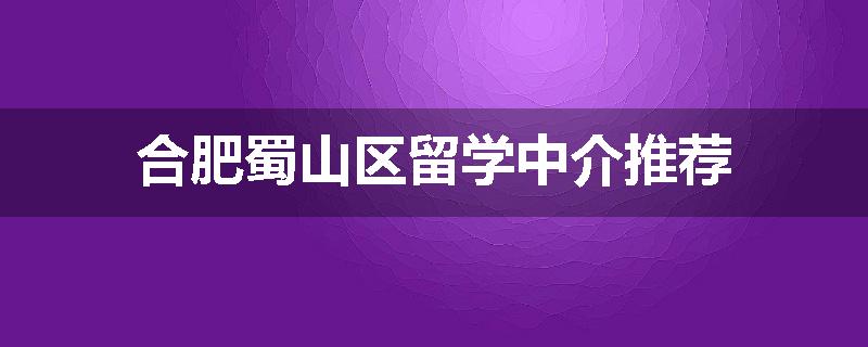合肥蜀山区留学中介推荐