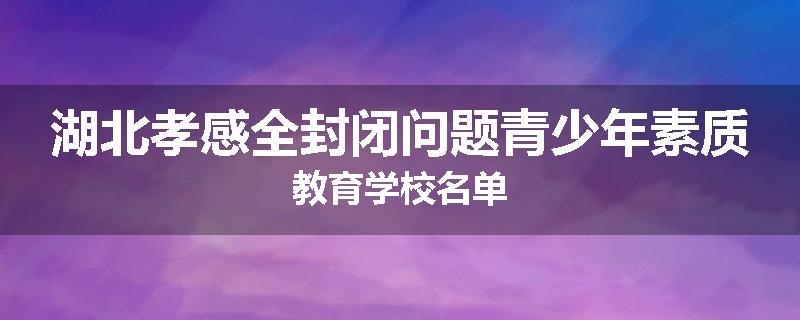 湖北孝感全封闭问题青少年素质教育学校名单