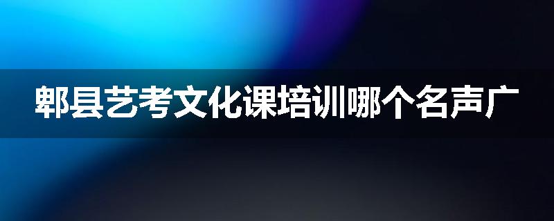 郫县艺考文化课培训哪个名声广