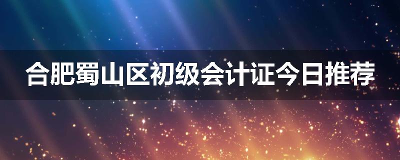 合肥蜀山区初级会计证今日推荐