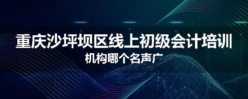 重庆沙坪坝区线上初级会计培训机构哪个名声广