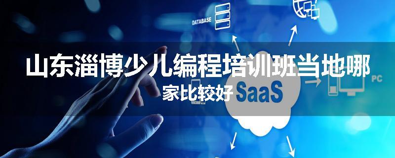 山东淄博少儿编程培训班当地哪家比较好