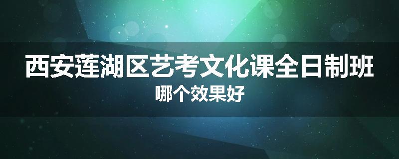 西安莲湖区艺考文化课全日制班哪个效果好