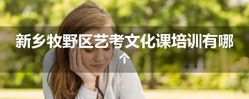 新乡牧野区艺考文化课培训有哪个