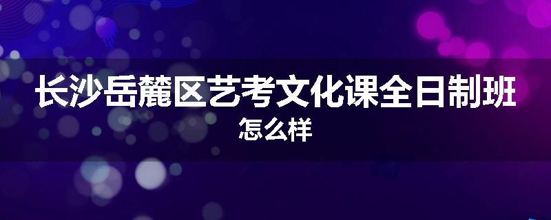 长沙岳麓区艺考文化课全日制班怎么样