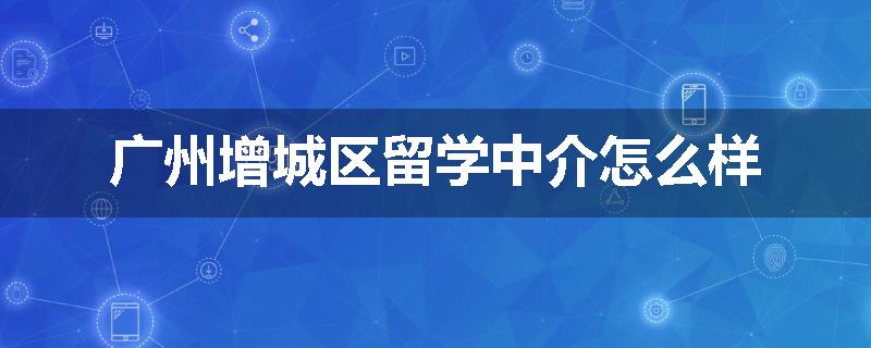 广州增城区留学中介怎么样