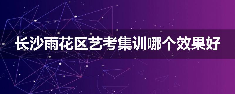 长沙雨花区艺考集训哪个效果好