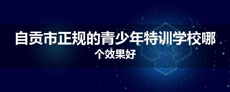 自贡市正规的青少年特训学校哪个效果好