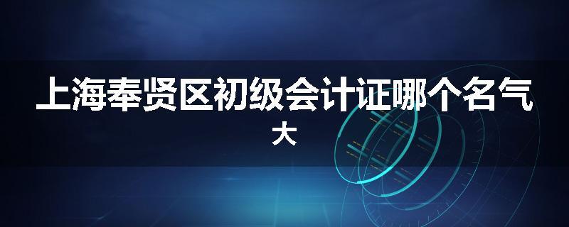 上海奉贤区初级会计证哪个名气大