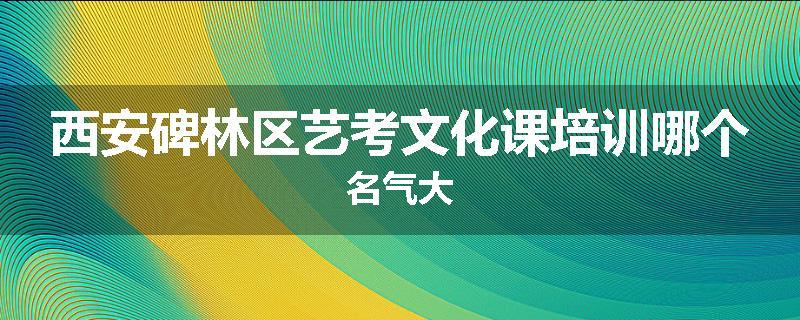 西安碑林区艺考文化课培训哪个名气大