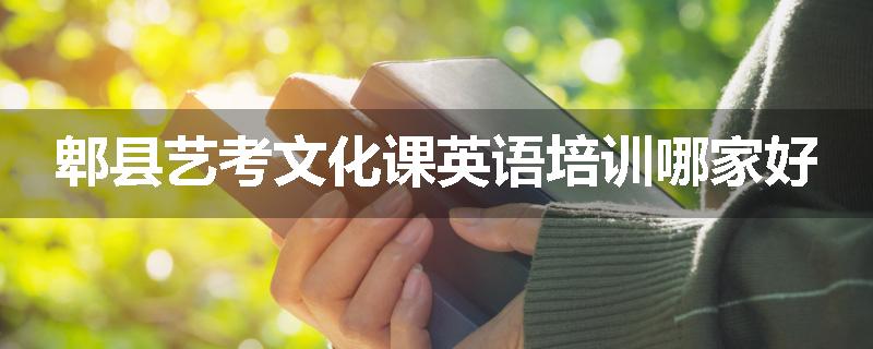 郫县艺考文化课英语培训哪家好