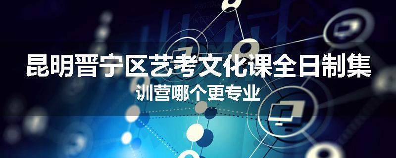 昆明晋宁区艺考文化课全日制集训营哪个更专业