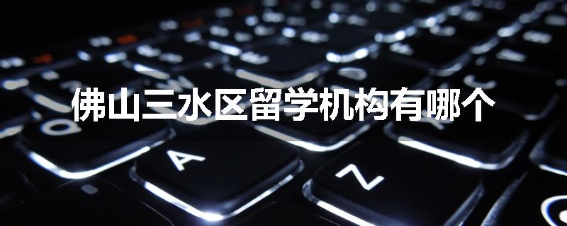 佛山三水区留学机构有哪个