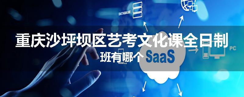 重庆沙坪坝区艺考文化课全日制班有哪个