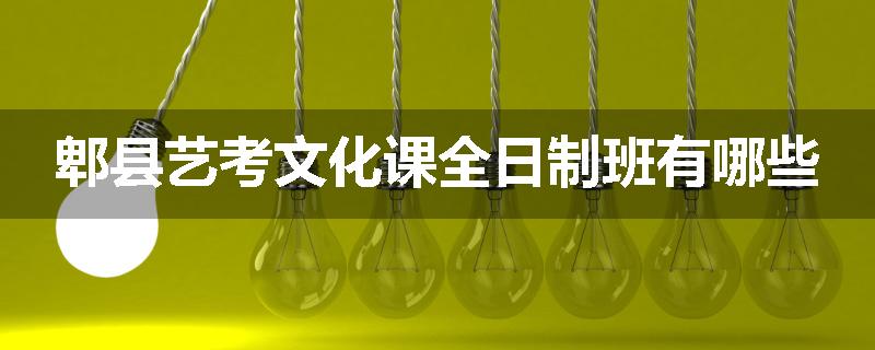郫县艺考文化课全日制班有哪些
