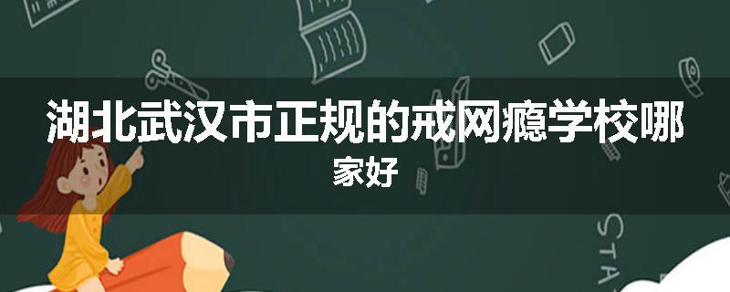 湖北武汉市正规的戒网瘾学校哪家好