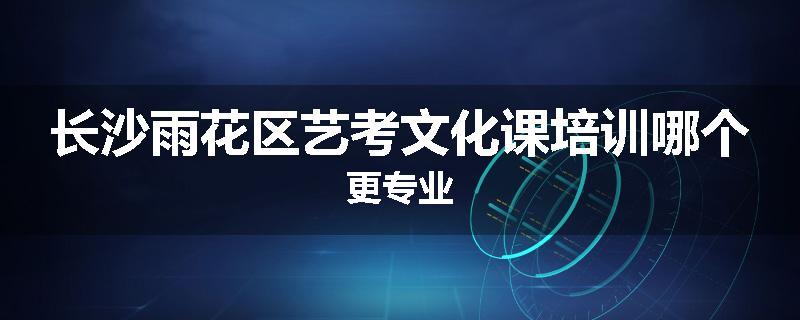 长沙雨花区艺考文化课培训哪个更专业