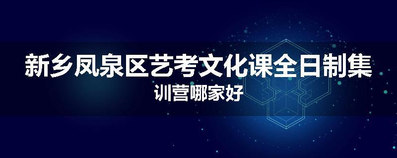 新乡凤泉区艺考文化课全日制集训营哪家好