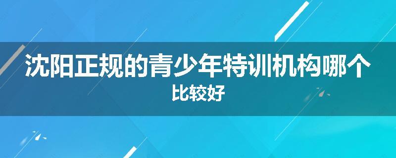 沈阳正规的青少年特训机构哪个比较好