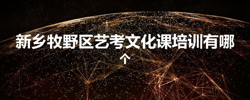 新乡牧野区艺考文化课培训有哪个