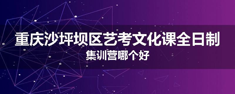重庆沙坪坝区艺考文化课全日制集训营哪个好