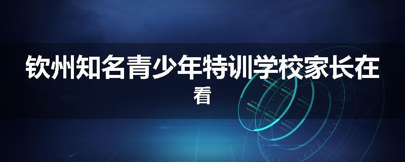 钦州知名青少年特训学校家长在看