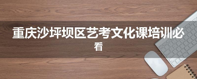 重庆沙坪坝区艺考文化课培训必看