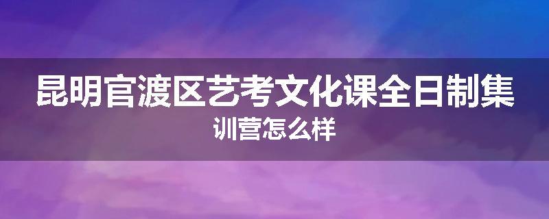 昆明官渡区艺考文化课全日制集训营怎么样