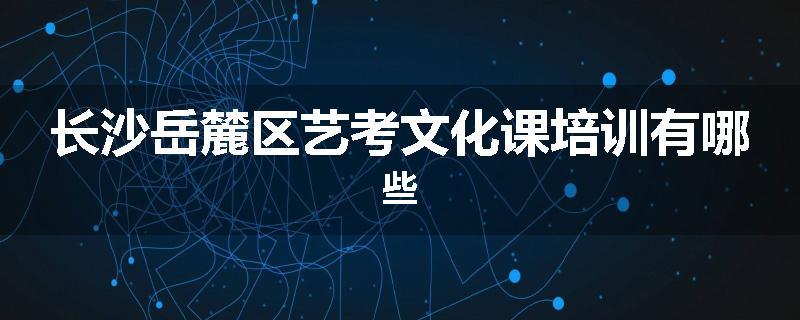 长沙岳麓区艺考文化课培训有哪些