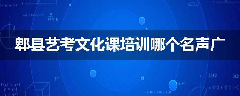 郫县艺考文化课培训哪个名声广