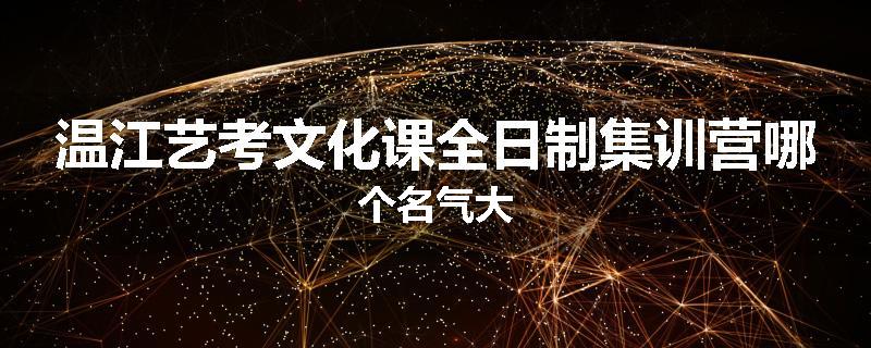 温江艺考文化课全日制集训营哪个名气大