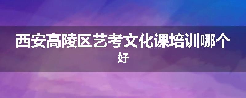 西安高陵区艺考文化课培训哪个好